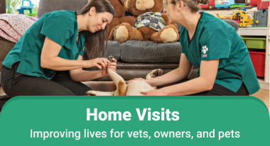 Home Visits Improving lives for vets, owners, and pets | GreatVet